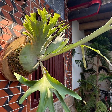 Grace Homestay Jincheng Dış mekan fotoğraf