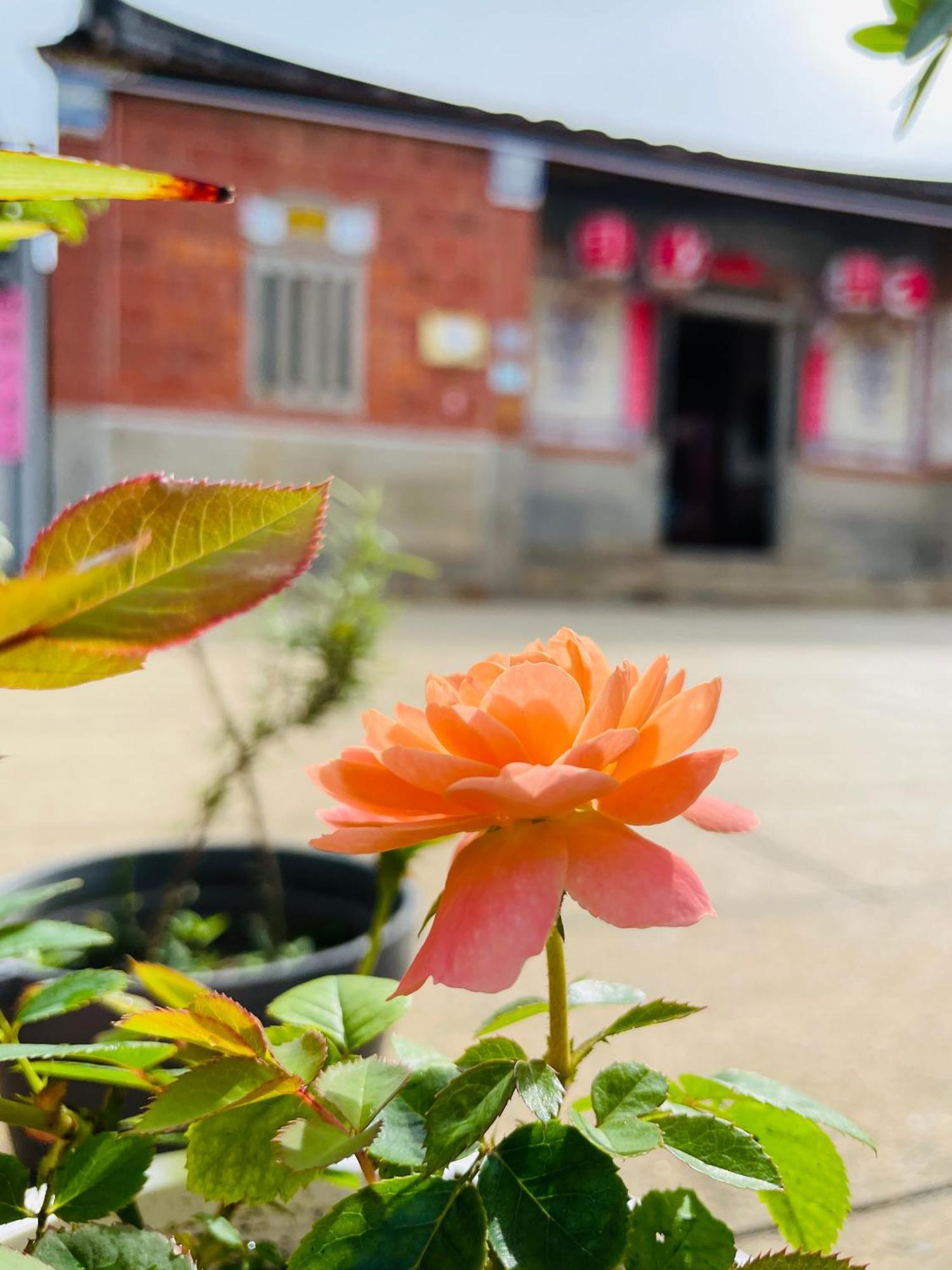 Grace Homestay Jincheng Dış mekan fotoğraf