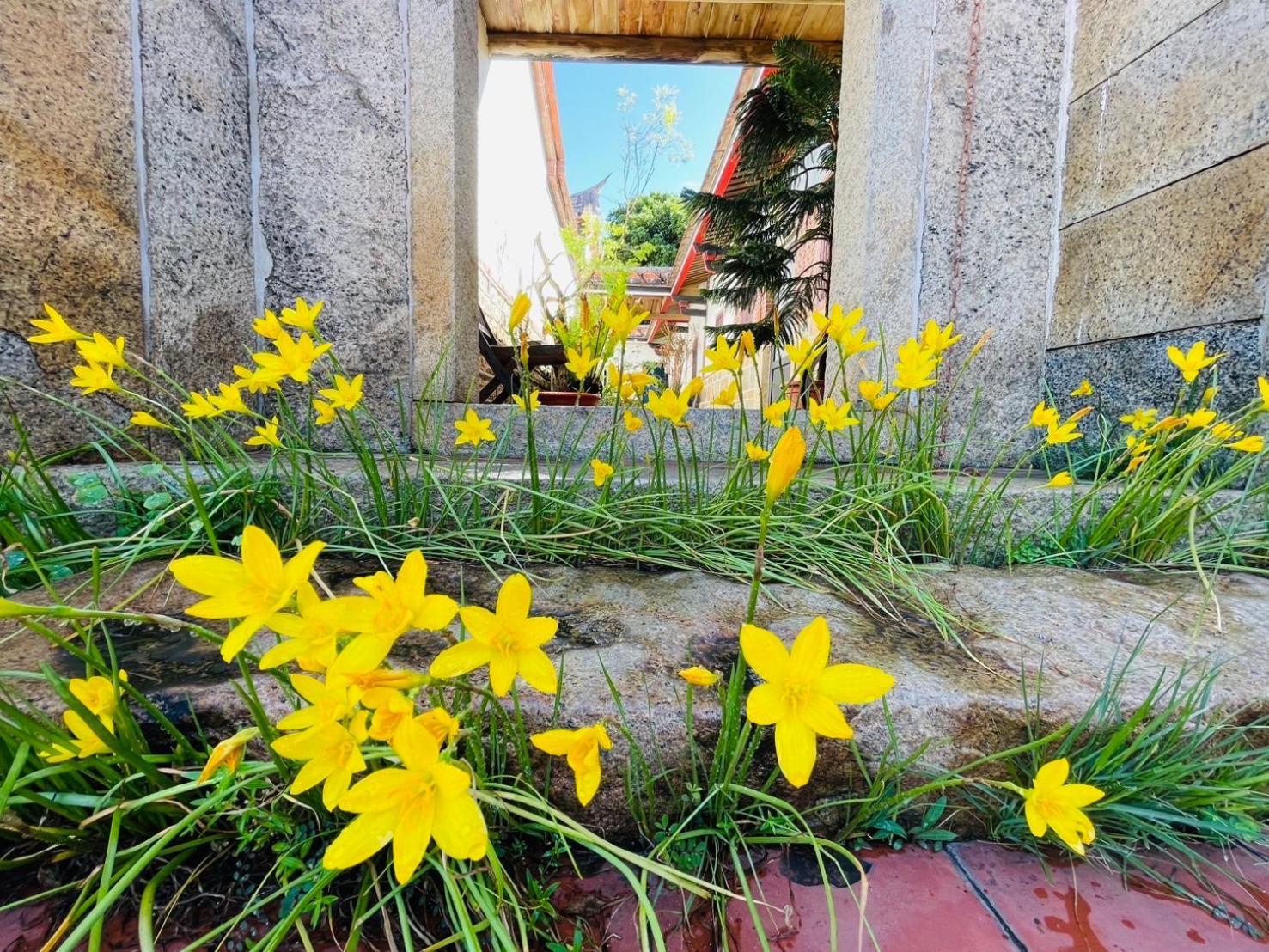 Grace Homestay Jincheng Dış mekan fotoğraf